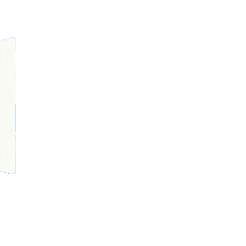 Pakistan Flag